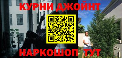 прущая мука Камышлов