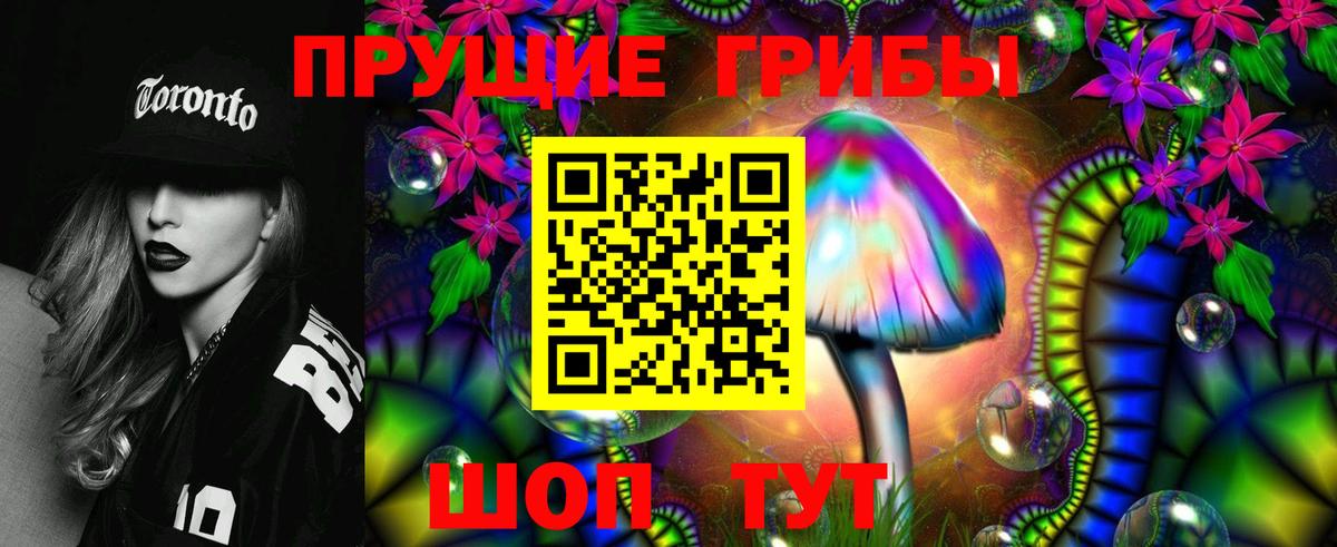 Псилоцибиновые грибы Psilocybe Кропоткин