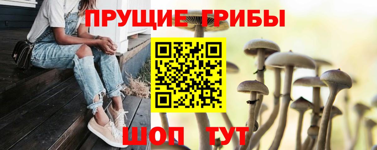 Галлюциногенные грибы Psilocybine cubensis  Псилоцибиновые грибы Cubensis  Кропоткин  Вход с VPN 